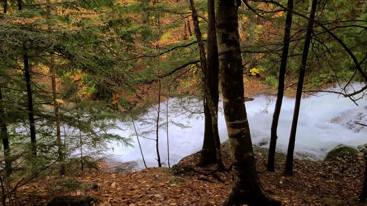 Riffle waterflow and bubbling autumn underwood top aerial