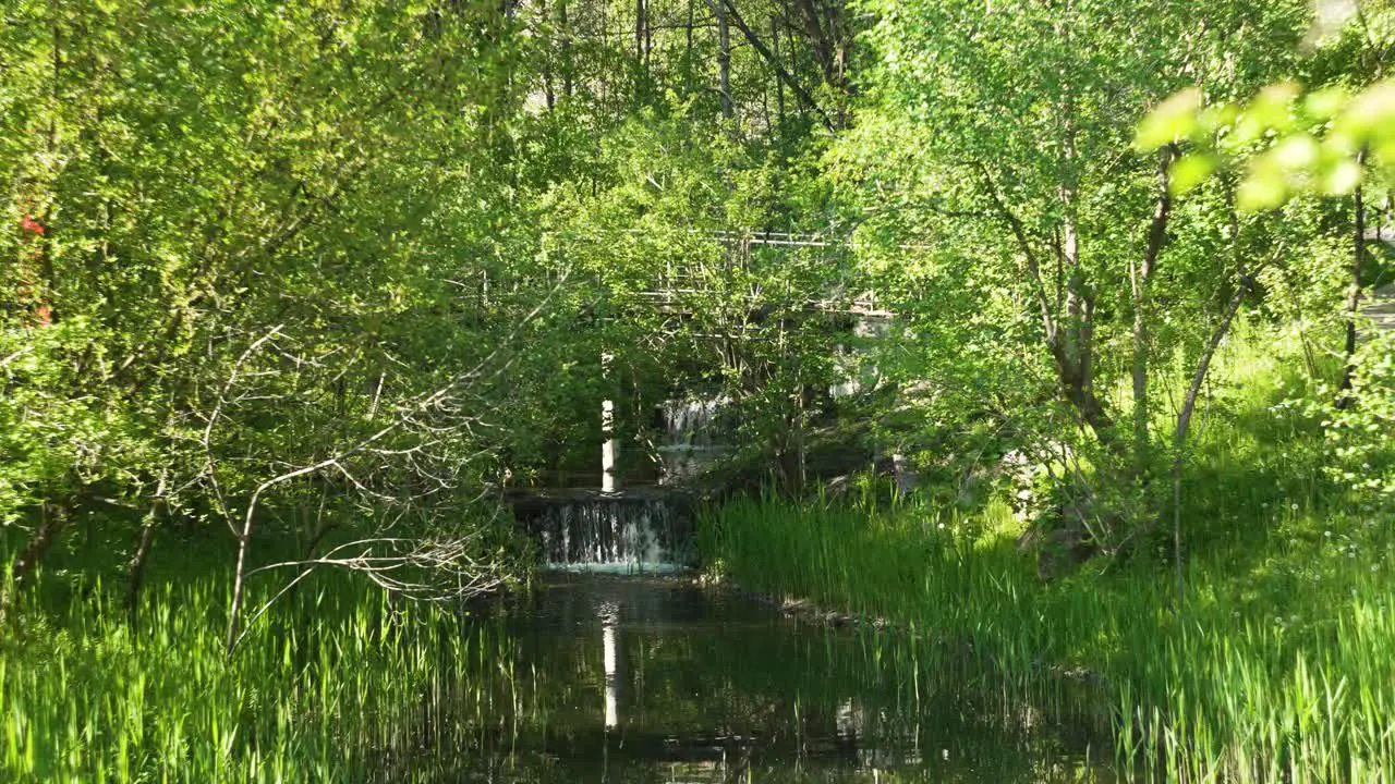 small waterfall in the middle of a botanic forest in slowmotion in spring