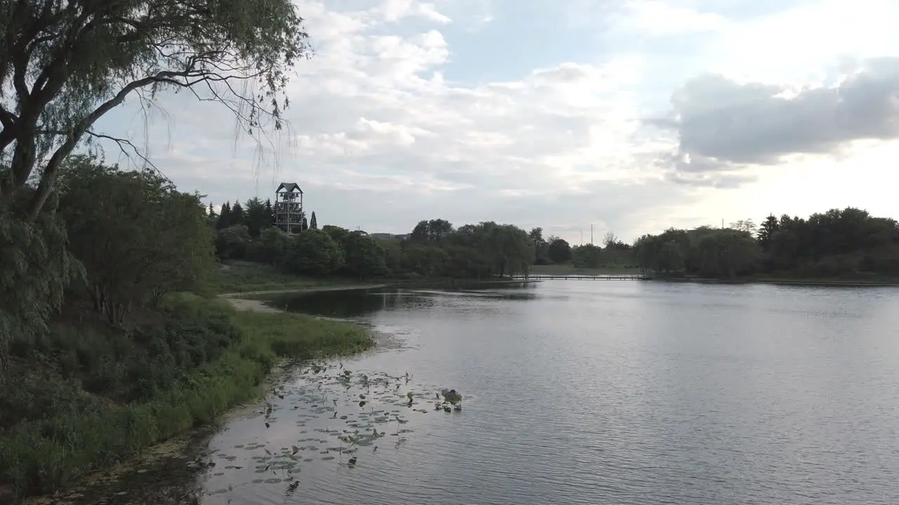 Landscape shot of Willow tree and pond on a bright cloudy day