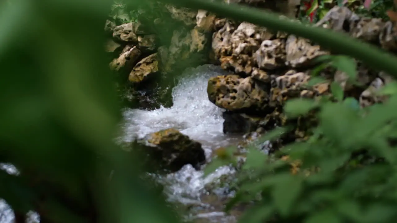 Bubbling Water Flowing from Rocks with Tree Leaves in the Foreground