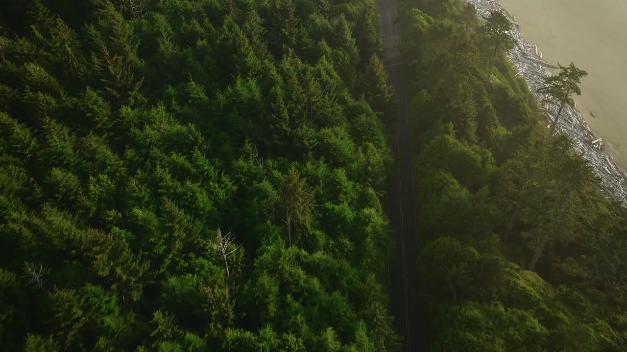 Beautiful drone view of a Pacific ocean coast line in Washington state