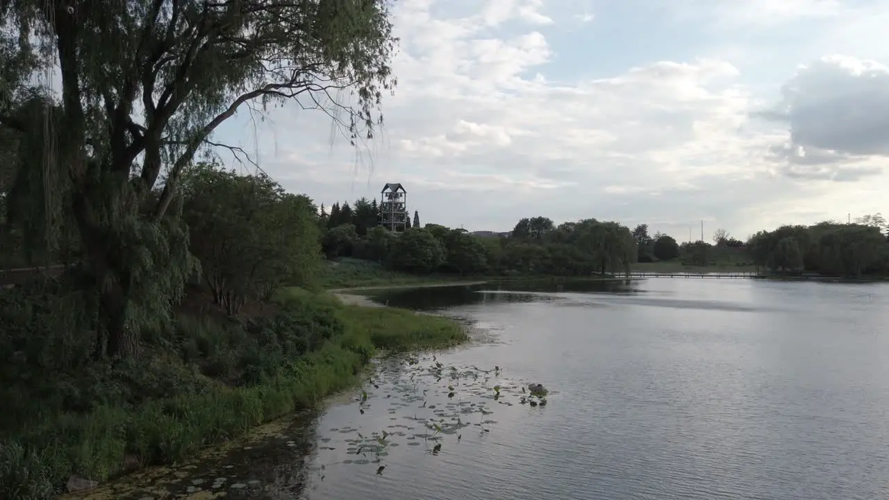 Beautiful pond on a partly cloudy day with willow trees in the forground