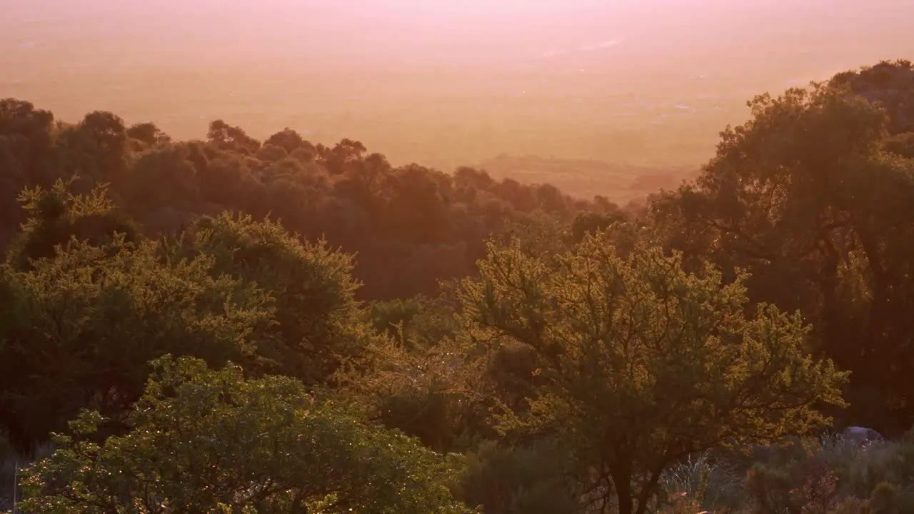 Lovely sunset over the forest and valley