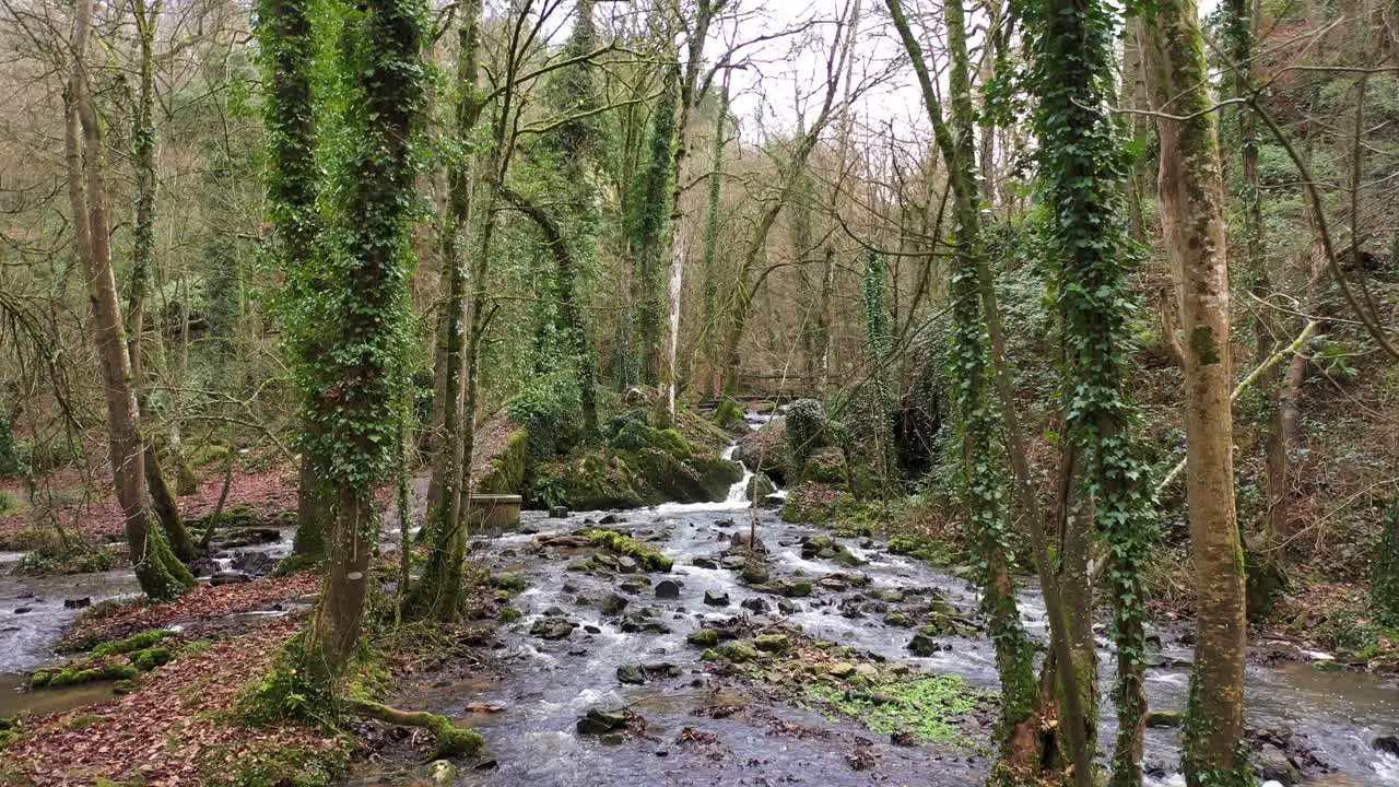 Beautiful drone shot of a waterfall in a forest in Normandie