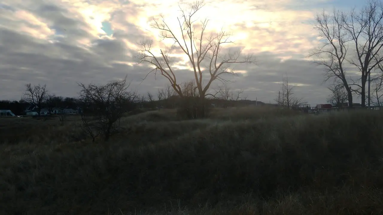 Sun rising behind a dead tree on a cloudy day