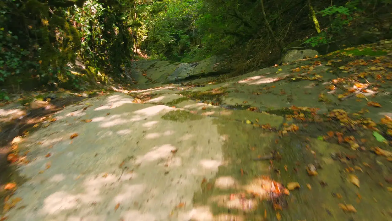 Aerial View Of Natural Pools In The Mountain River Inside The Forest