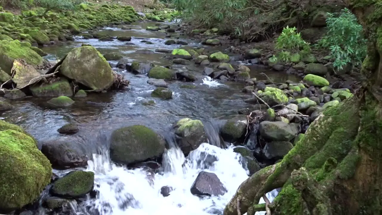 Beautiful Lancashire river and countryside scenes