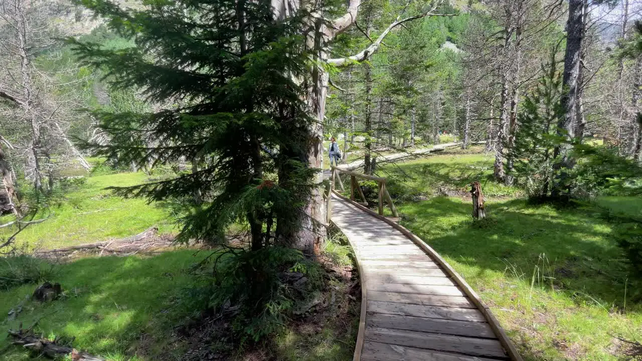 Aigüestortes National Park Spain protected nature lerida catalunya Wooden walkway protected area family walk