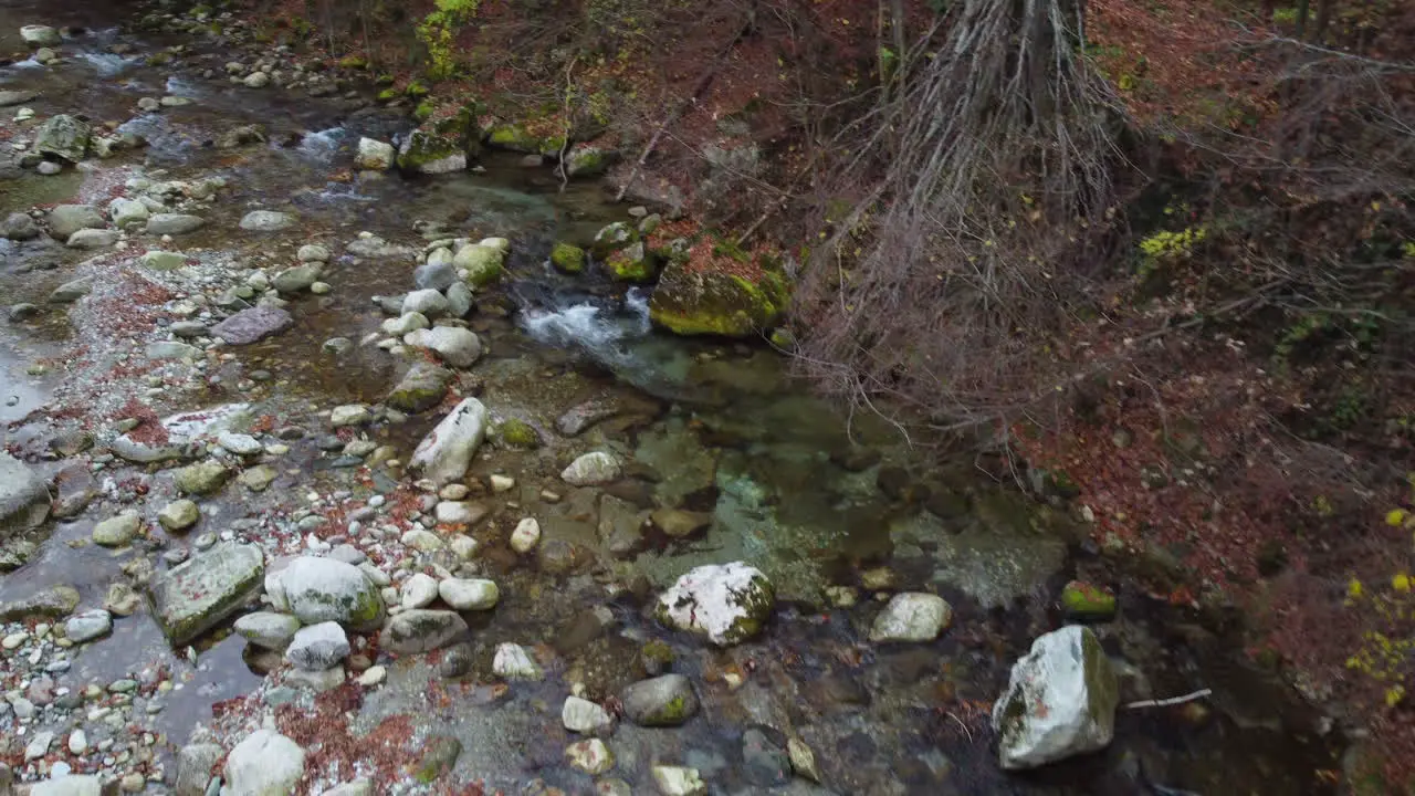 River in mountain forest autumn trees aerial view