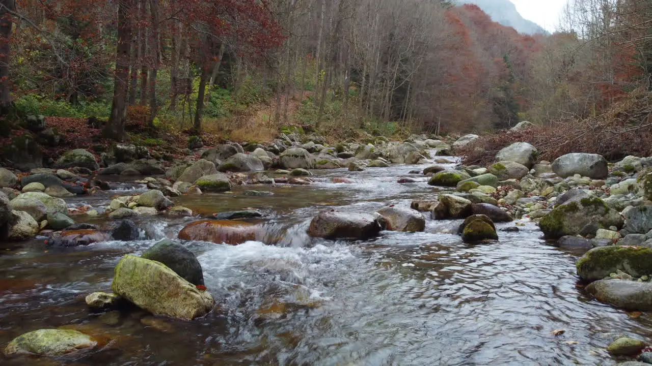 River water flow in mountain forest at autumn