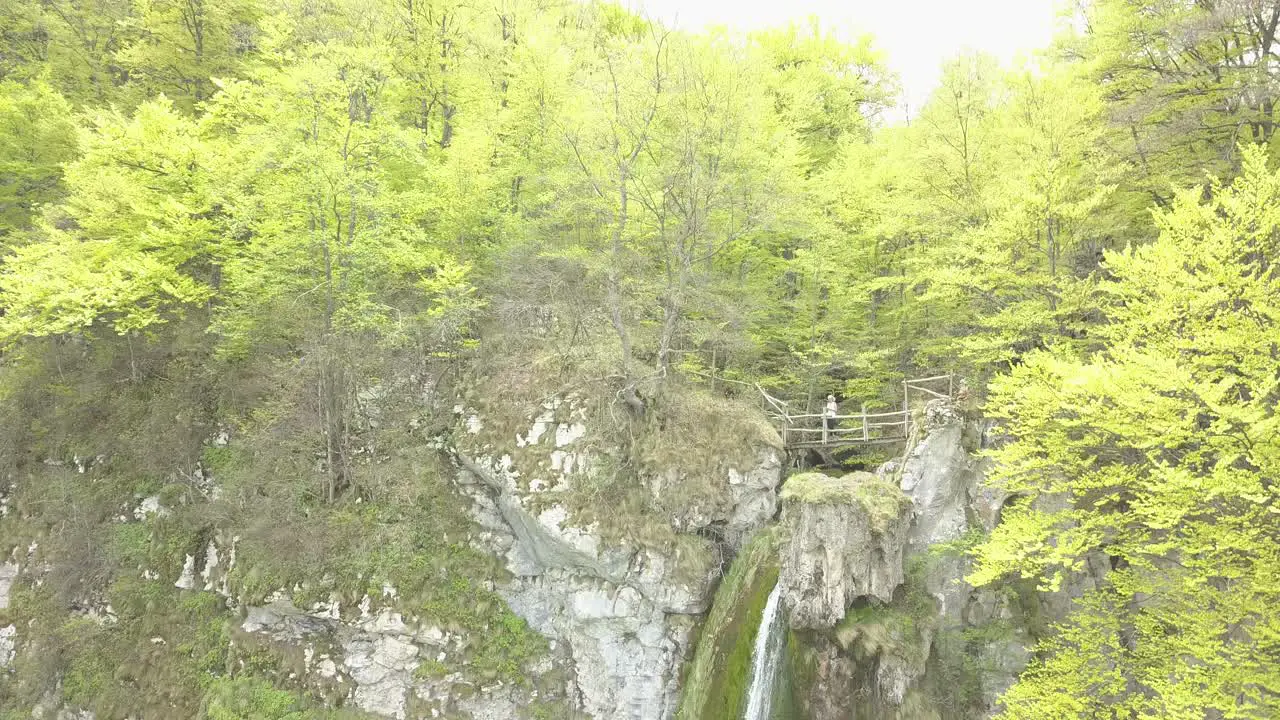 Waterfall Forest Woods River Vratsa