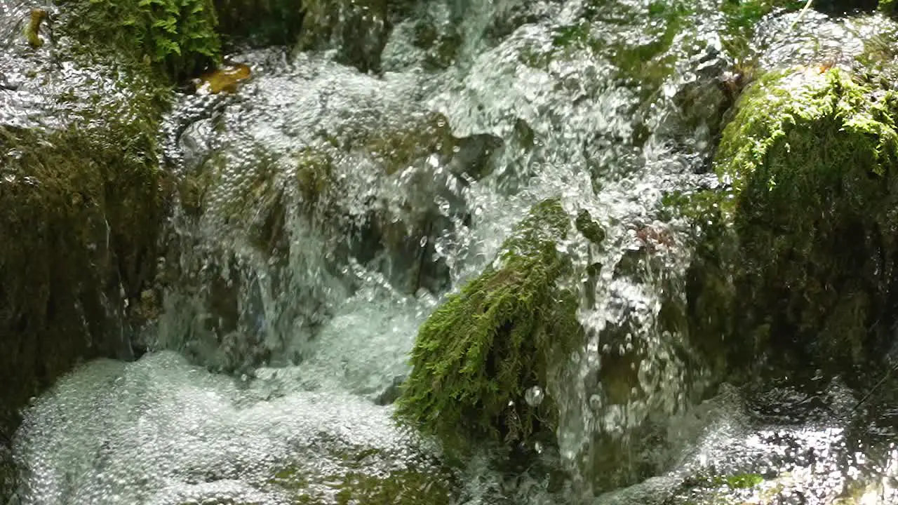 Small mountain river forest waterfall