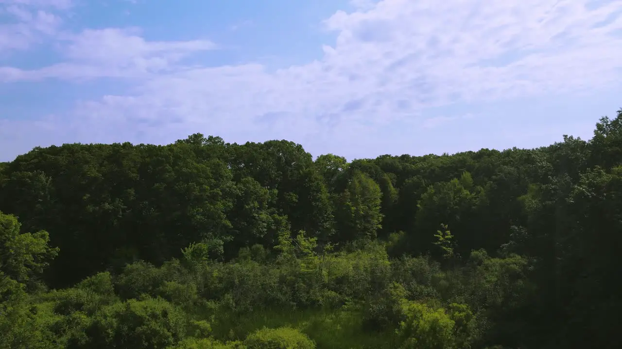 Summer day in Muskegon over the Woods