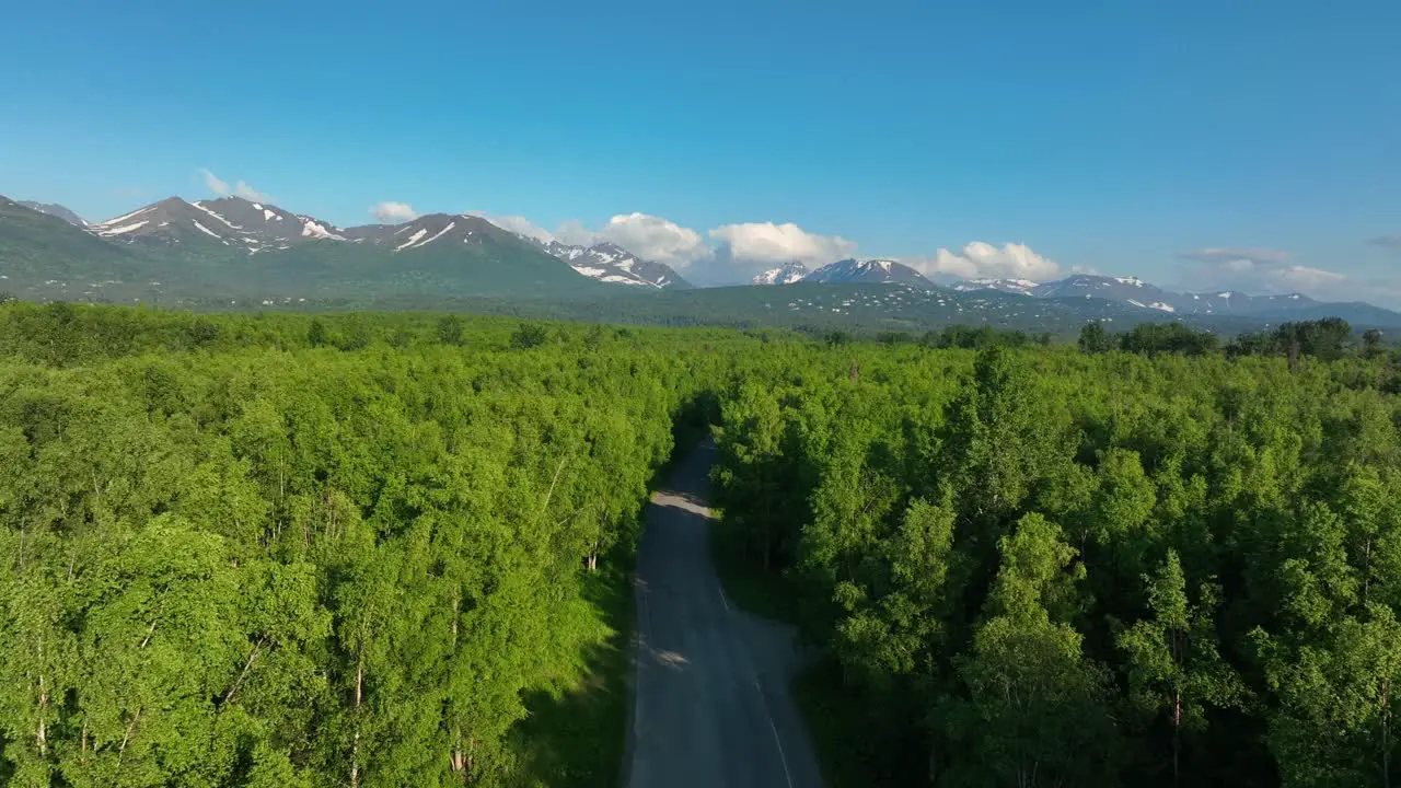 Country Road Between Dense Thicket With Snow Mountains At Background