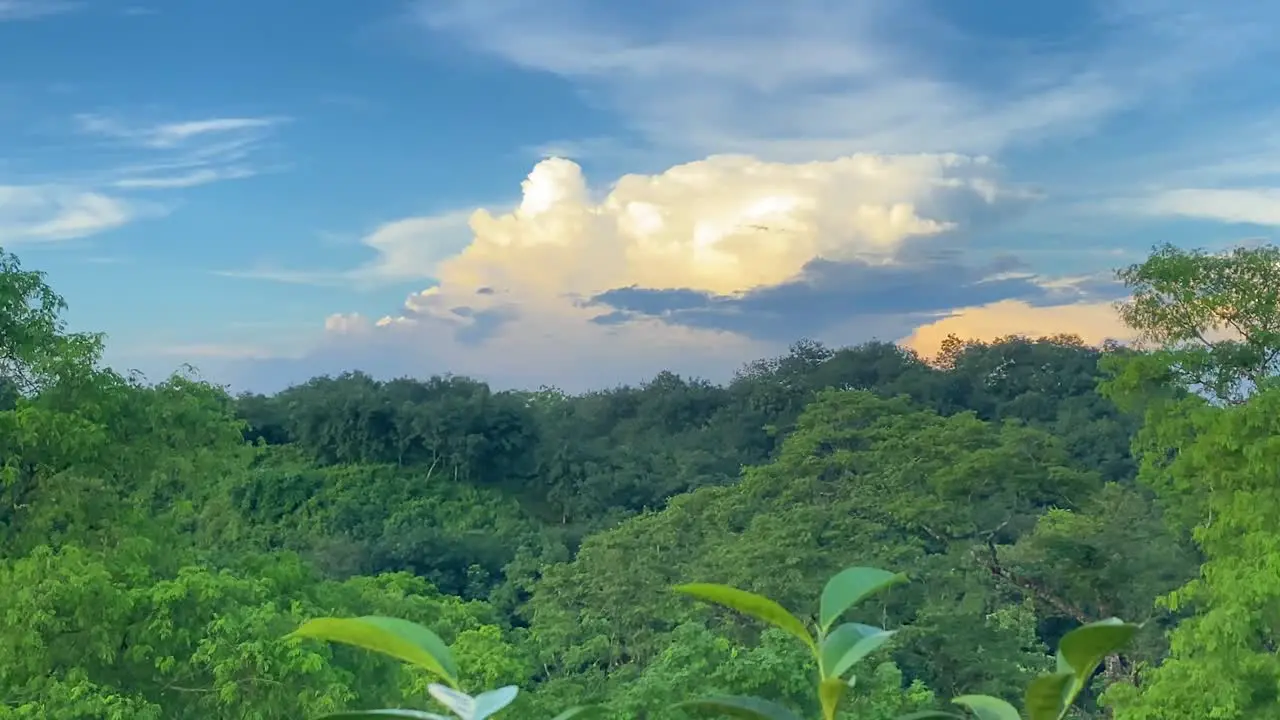 Cinematic Majestic sky above forest