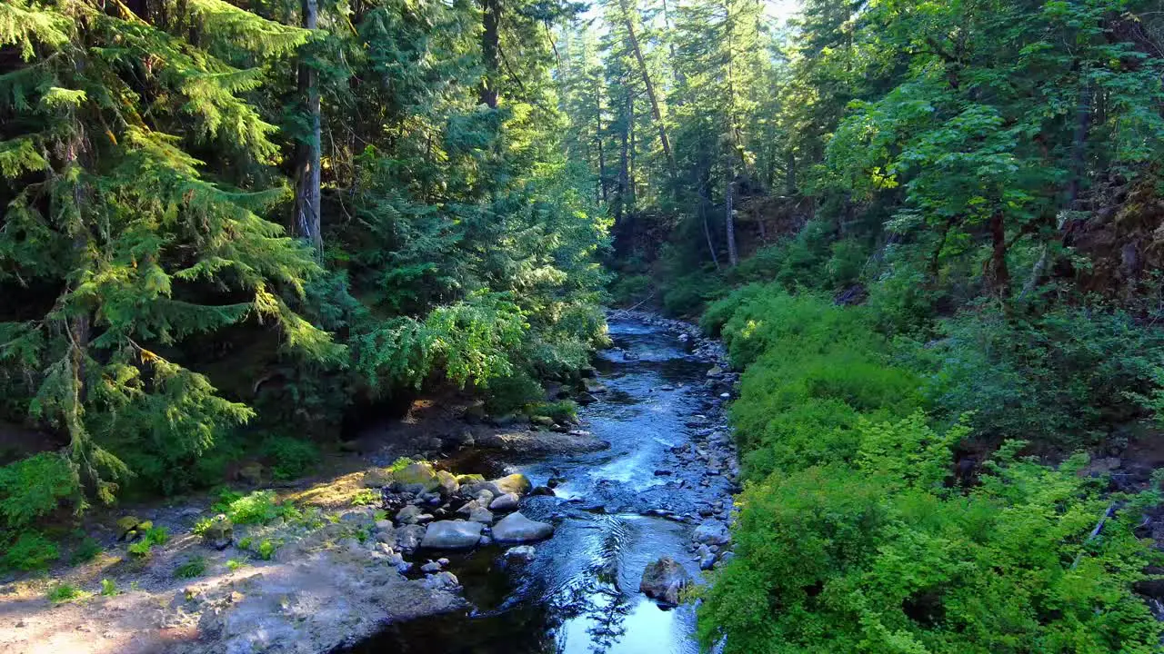 Sunny alpine river in green forest aerial push in 4k slow motion