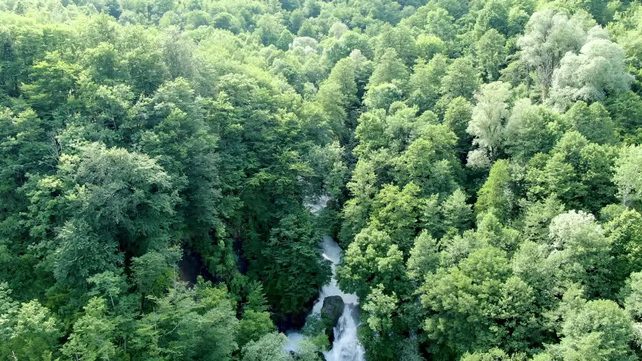 Hidden magical waterfall surrounded by deep jungle forest aerial ascend view