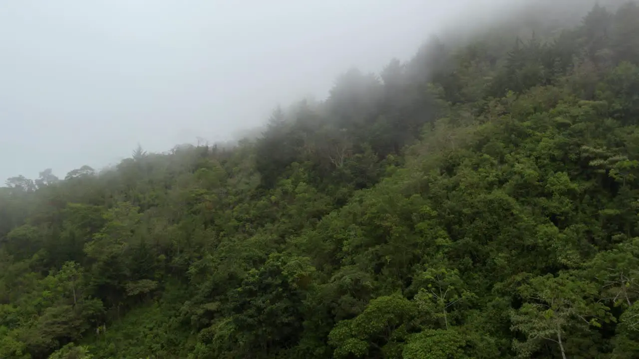 Aerial dolly in of Chirripo green dense forest hillside covered in white foogy clouds Canaan de Rivas Costa Rica