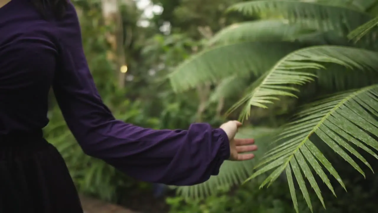 Young attractive woman in gothic dress touching plants in the glass garden slowmotion