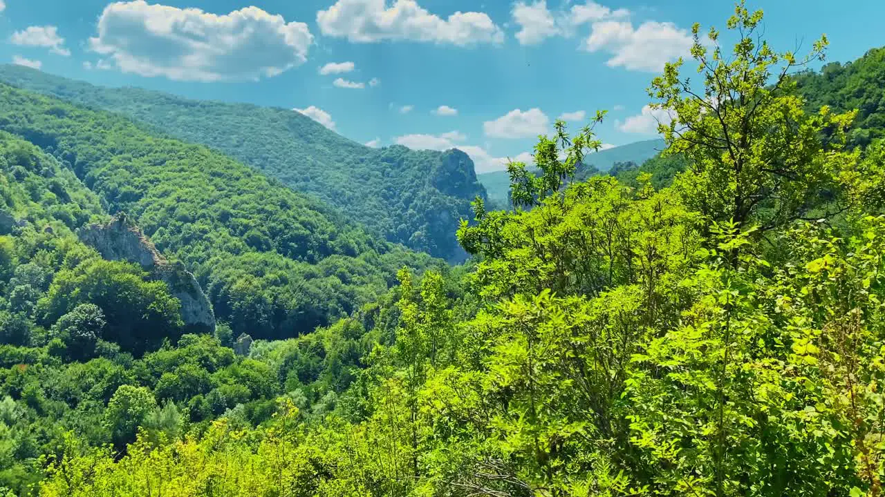 beautiful view of top of the mountain in green forest