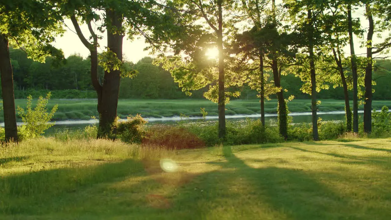 Drone sliding left slowly in the golden evening light with bugs swirling around and a river and trees and grass