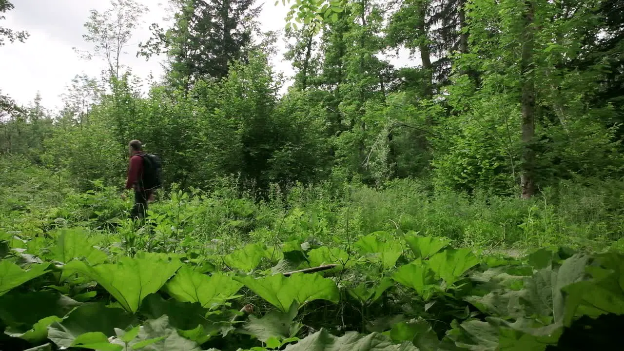 Photographer walking past a green lush area in the mountains from right to left