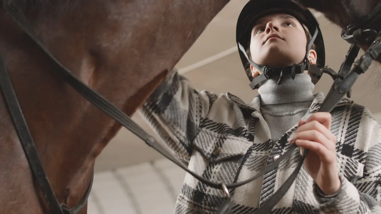 Beautiful Woman Petting A Brown Horse