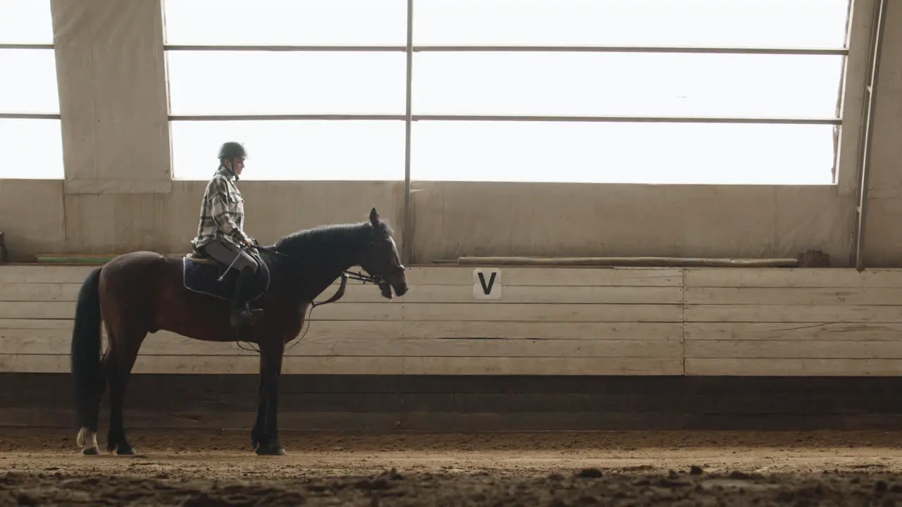 Side View Of Woman Riding A Horse