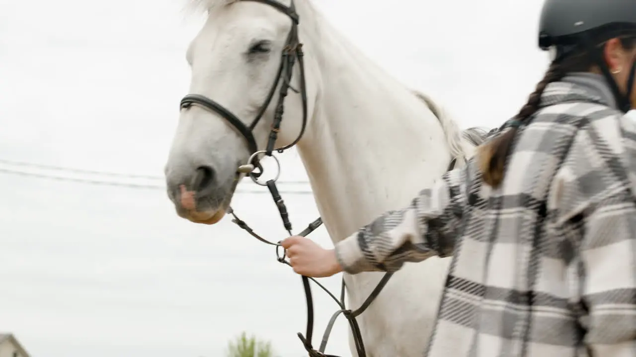 Beautiful Woman Getting Off A Horse