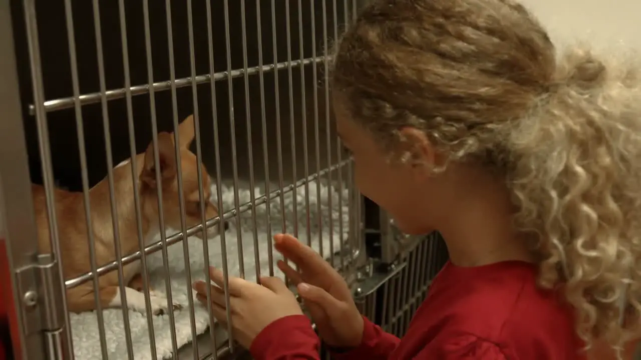 Little girl looking at dog in cage at vets