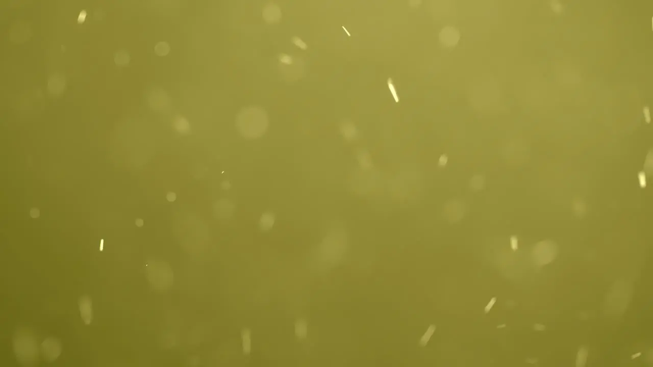 Yellow Bokeh Particles Swirling