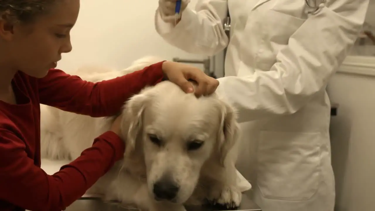 Vet examining dog in her office with young owner