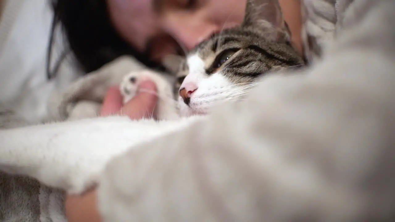 Woman kissing and petting sleeping cat indoor at home laying in the couch