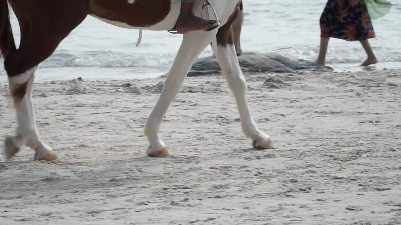 Legs of a white and brown adult horse walking on a white sand beach in the summer and man riding it