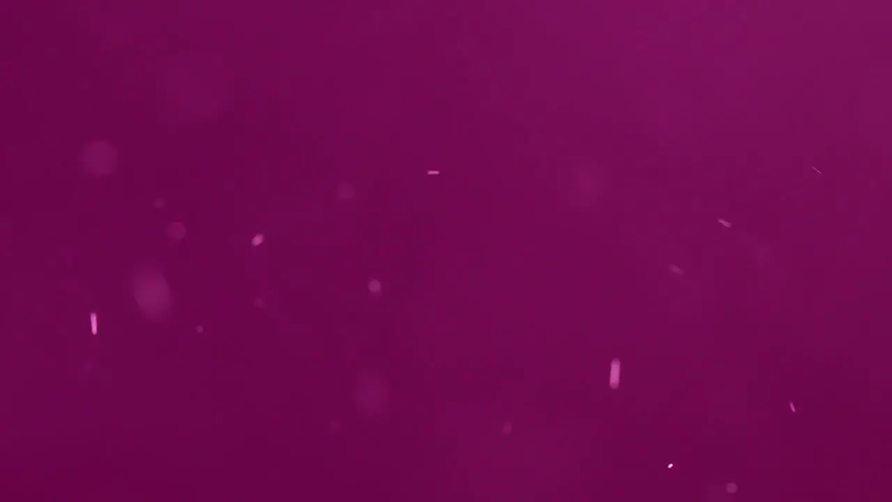 Out of Focus Particles Floating against a Pink Background