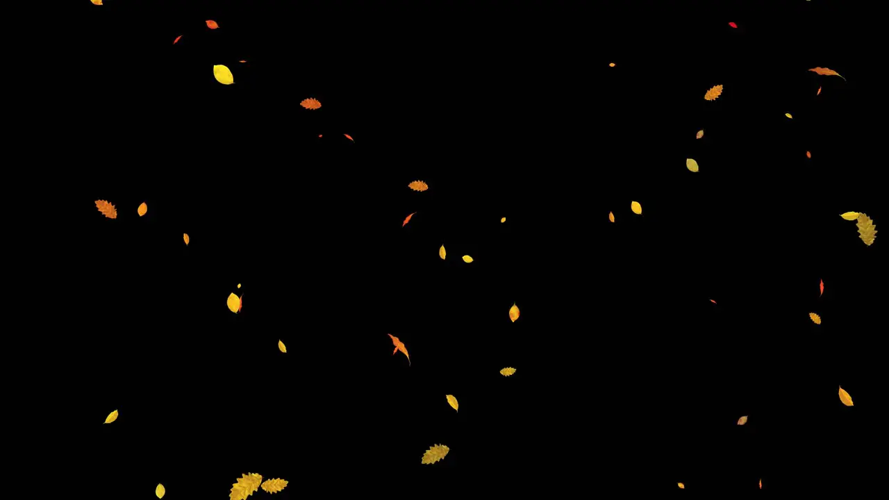 Visual effects VFX falling leaves on black background 3D animation