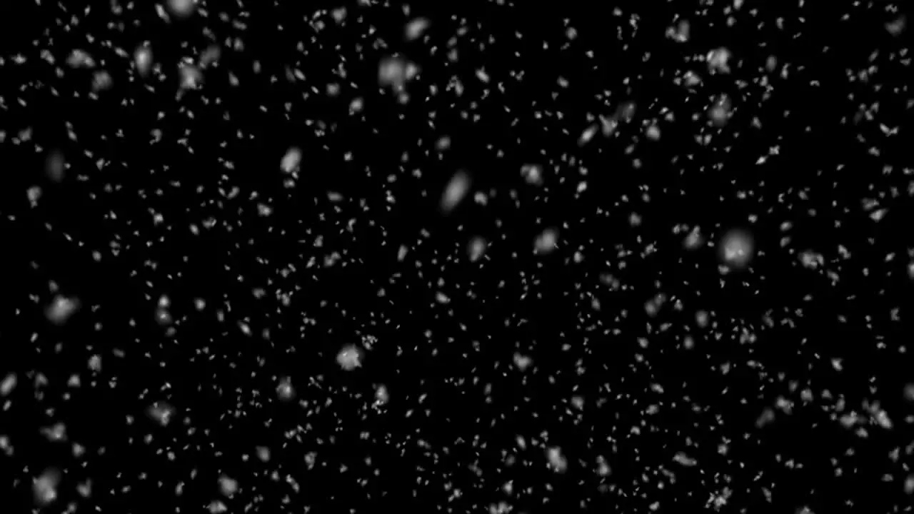 Snow Close-Up