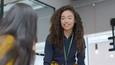 Businesswoman Presenting To Group Of Colleagues 