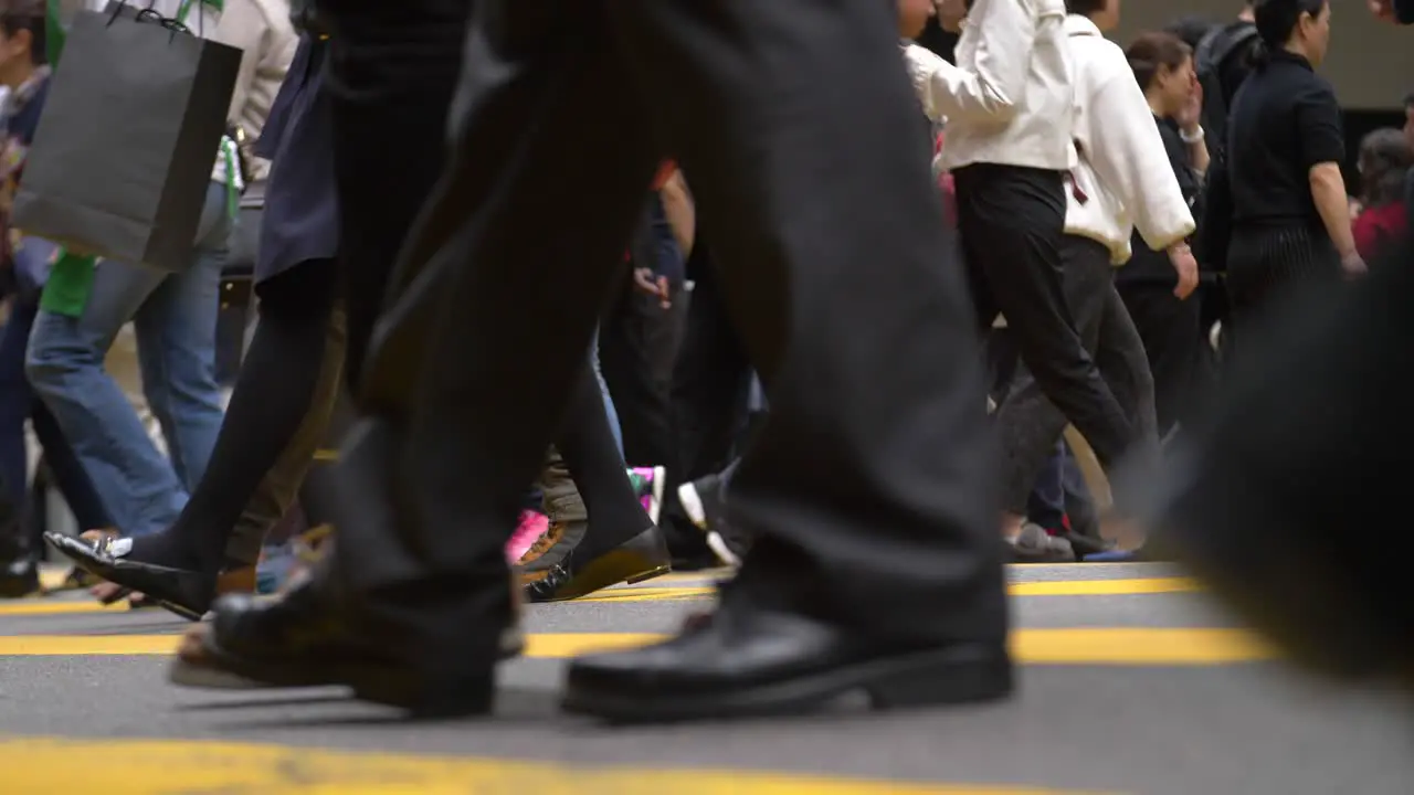 Crowded Zebra Crossing