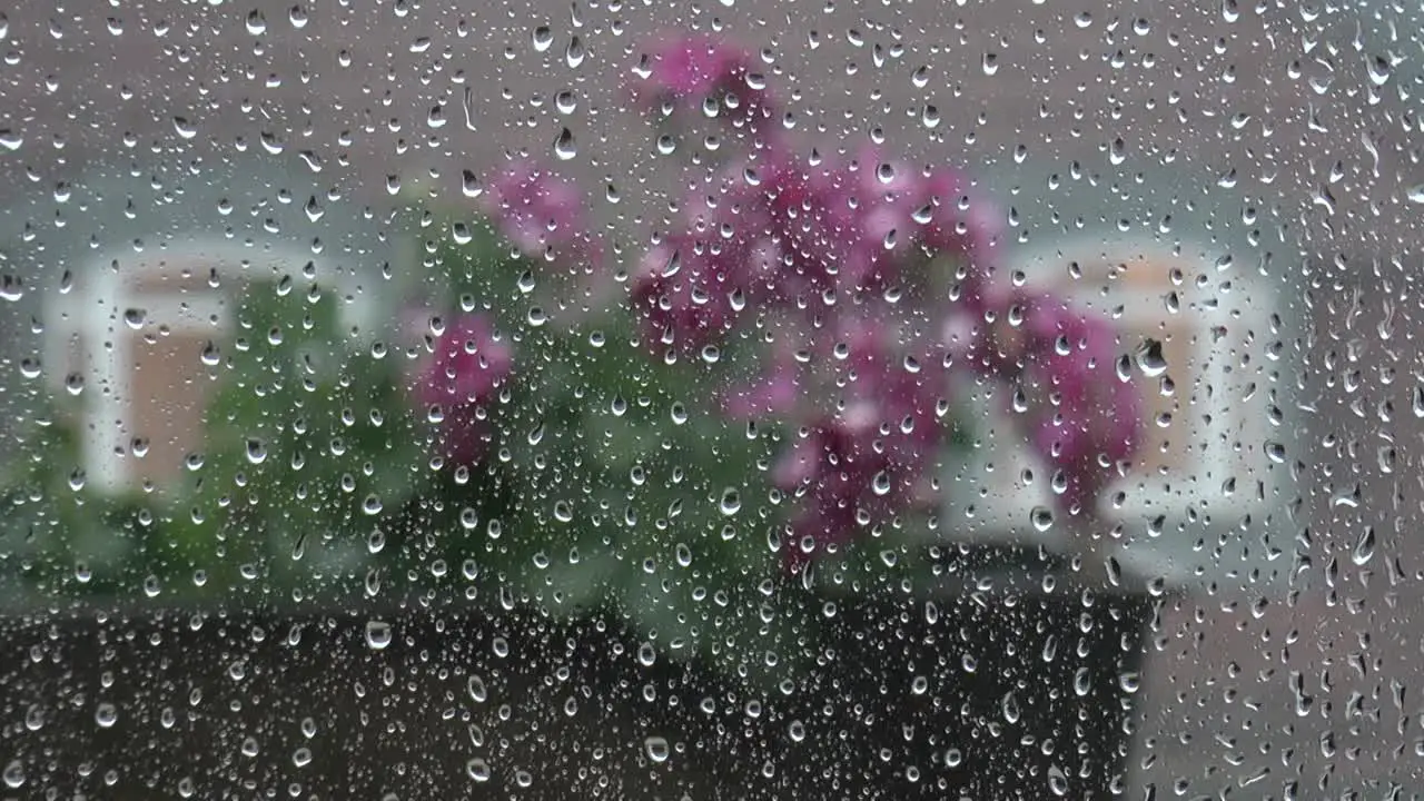 Outside a Window During Thunderstorm