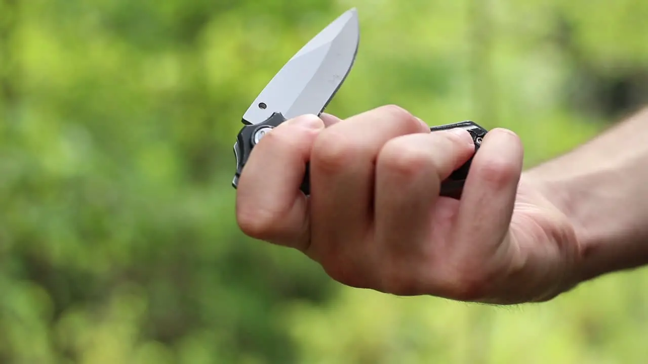 Knife In Natural Forest