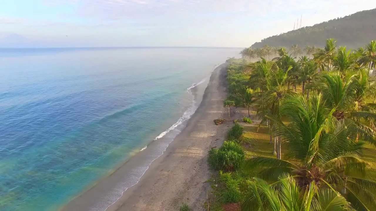 Flying Through Palm Trees Along Beach