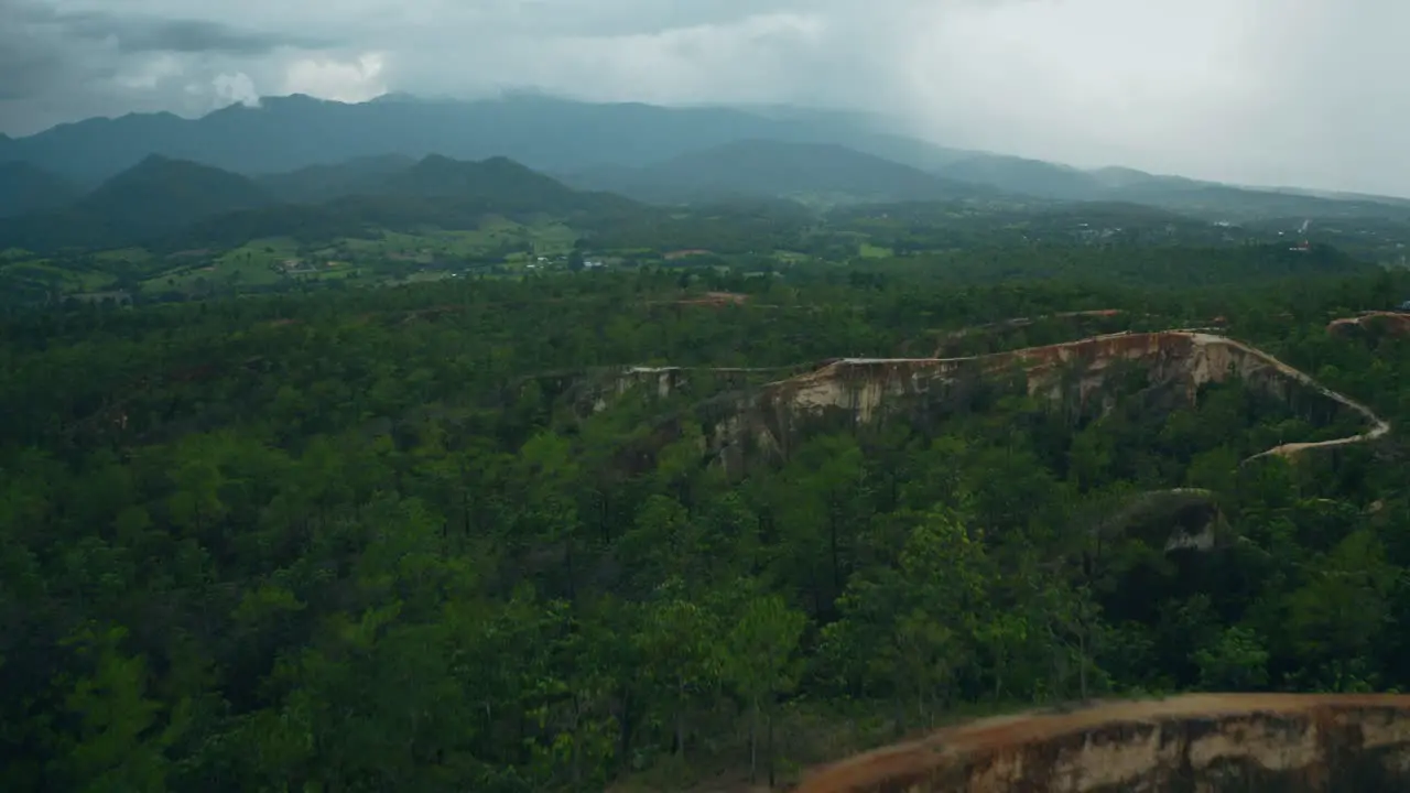 Aerial Jungle Landscape