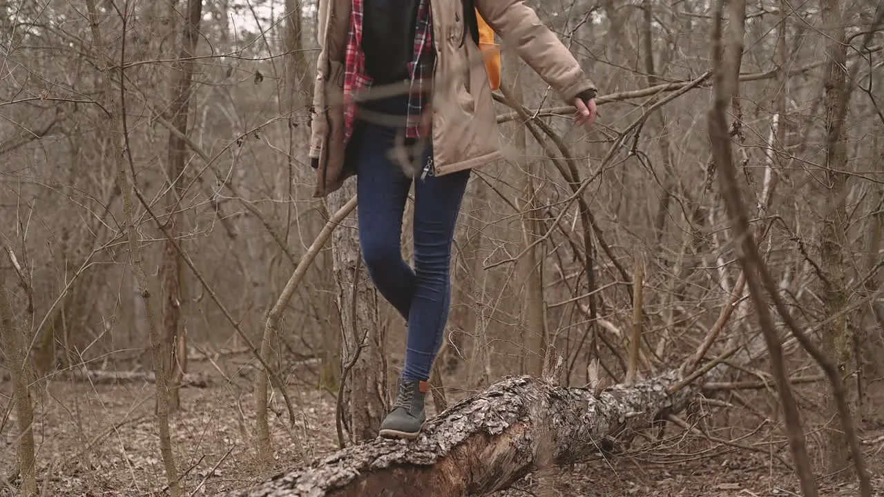 An Unrecognizable Young Girl Balances Across A Fallen Tree Trunk In The Middle Of The Forest