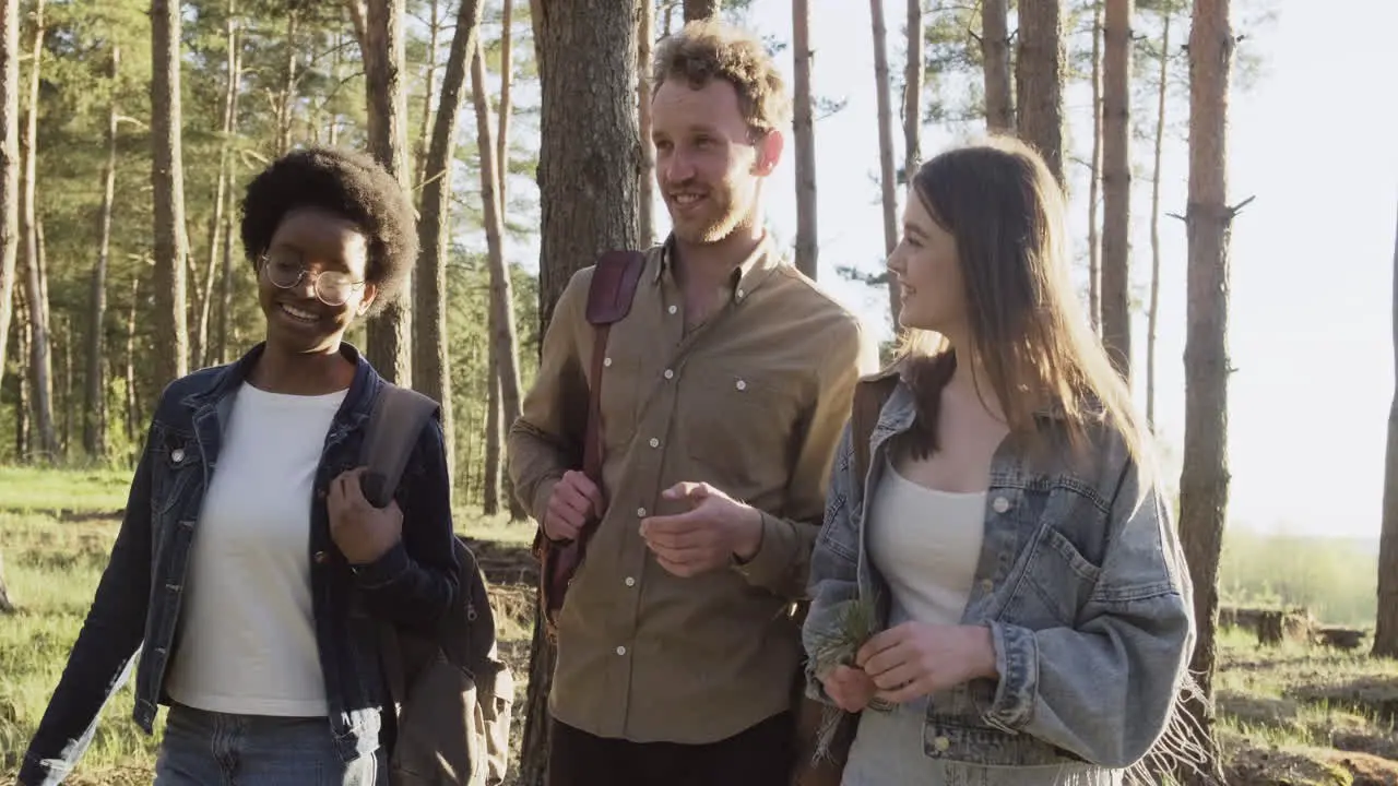 Three Friends Taking A Walk And Having Fun In The Forest