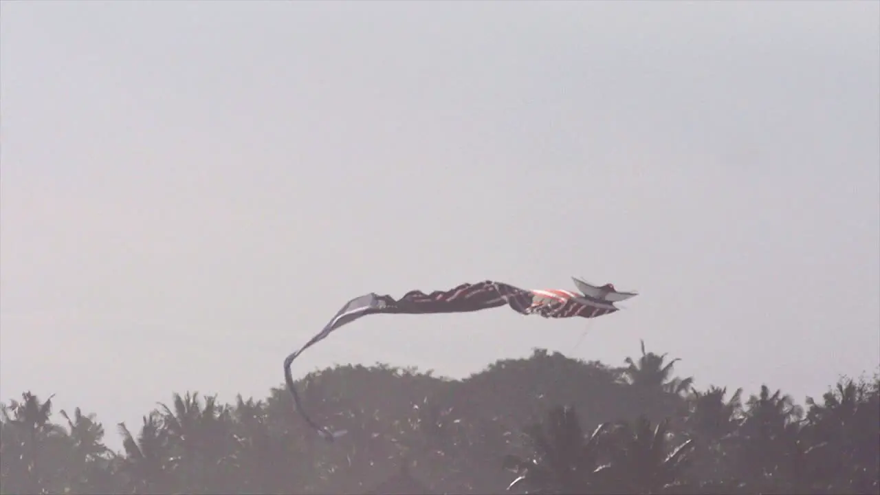 Indonesian Kite Slow-Mo