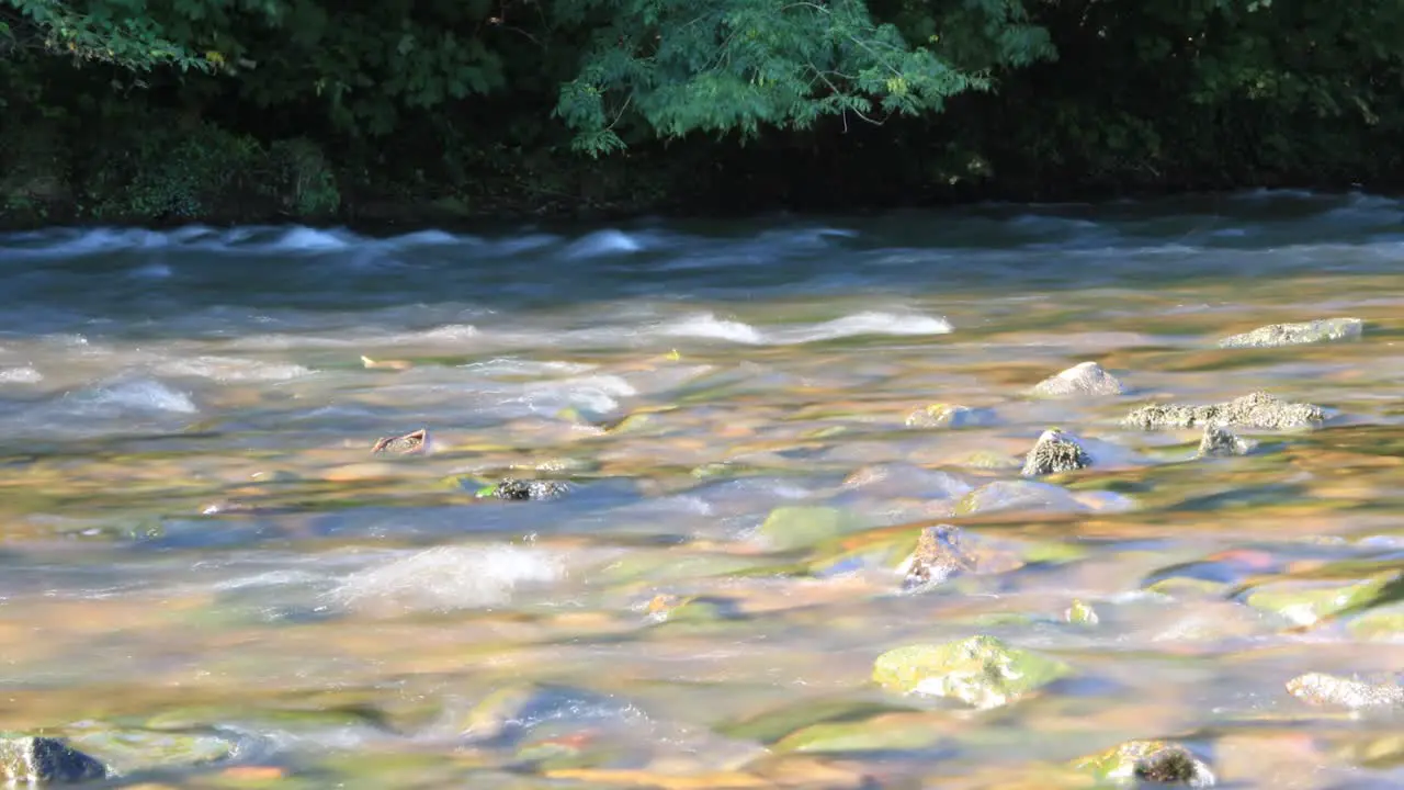 Stream Time-Lapse CC-By NatureClip