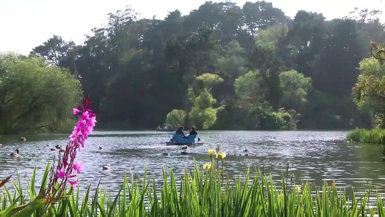 Paddle Boat on Lake