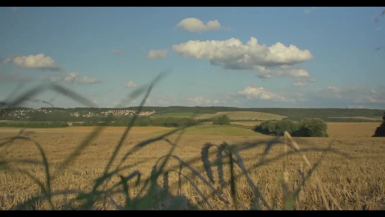 Fields and City 