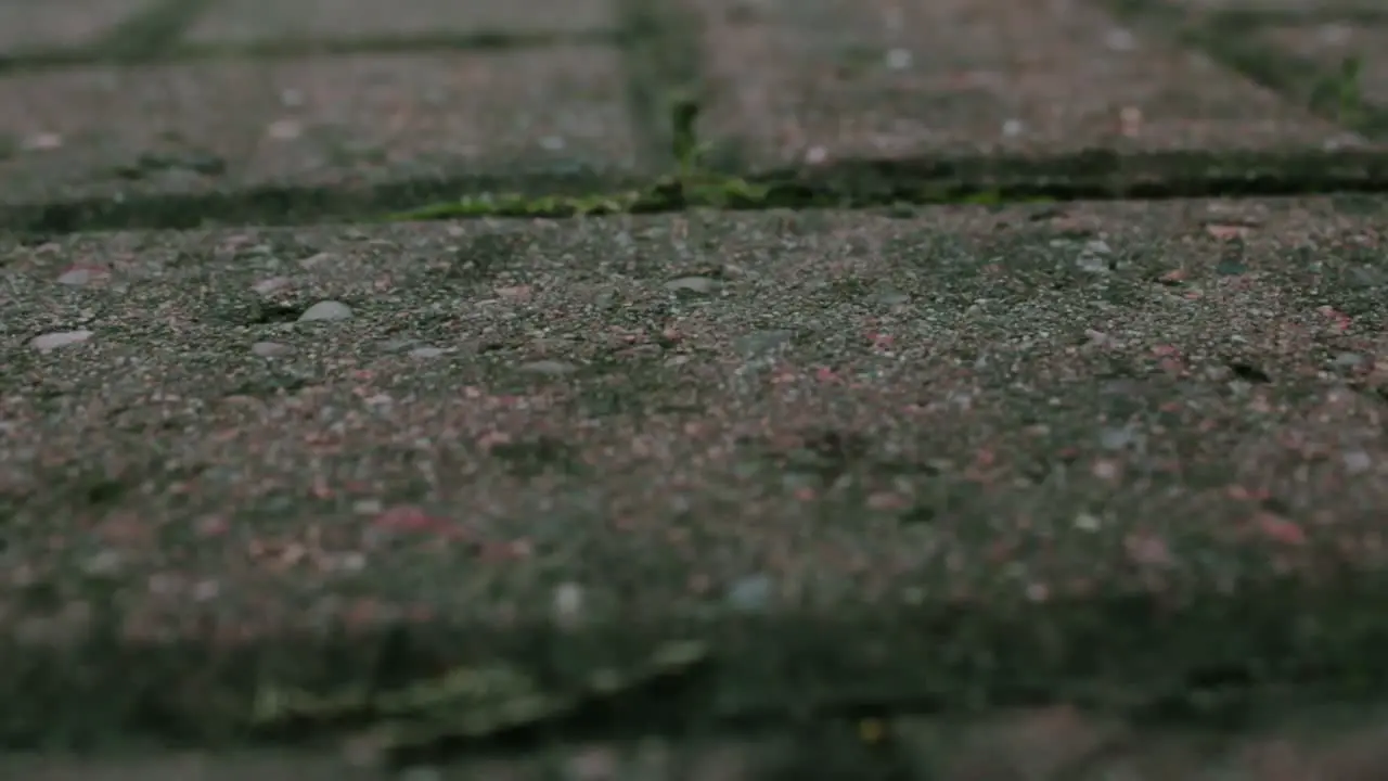 Rain Drops Hitting a Stone Brick Floor